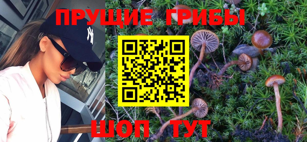 Псилоцибиновые грибы Psilocybine cubensis  Вход с VPN  Белово 