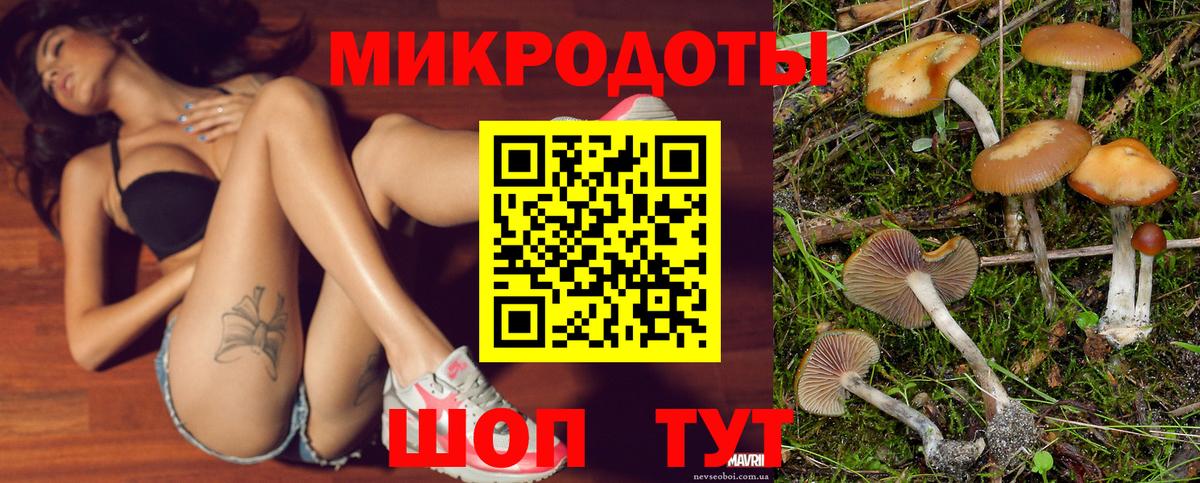 Псилоцибиновые грибы Cubensis Белово