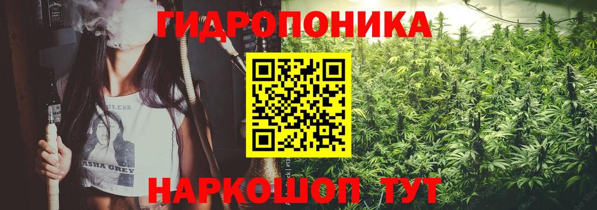 Конопля ГИДРОПОН Белово